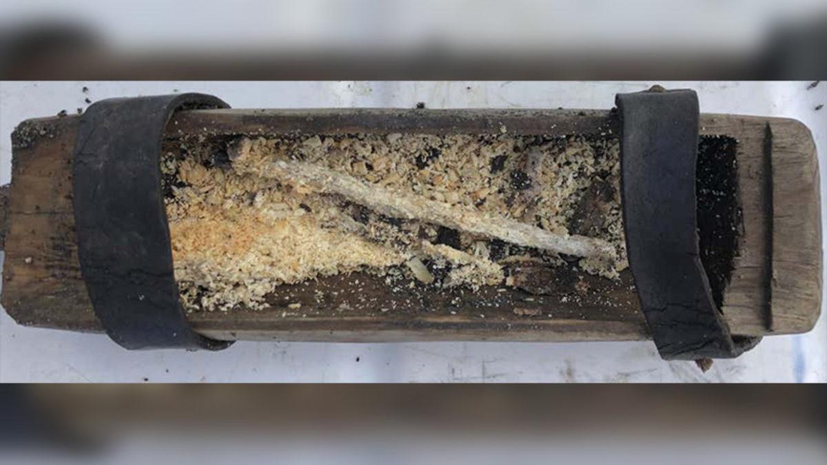 1200 Yıllık Buzulda Bulunan Tahta Viking Sandığı Sonunda Açıldı