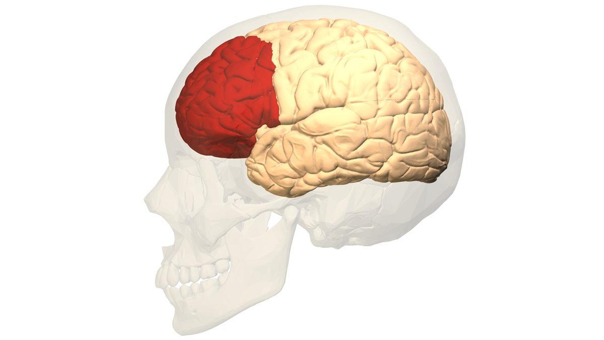 Uykuya Dalma Anımızı Neden Hiçbir Zaman Tam Olarak Hatırlayamayız?