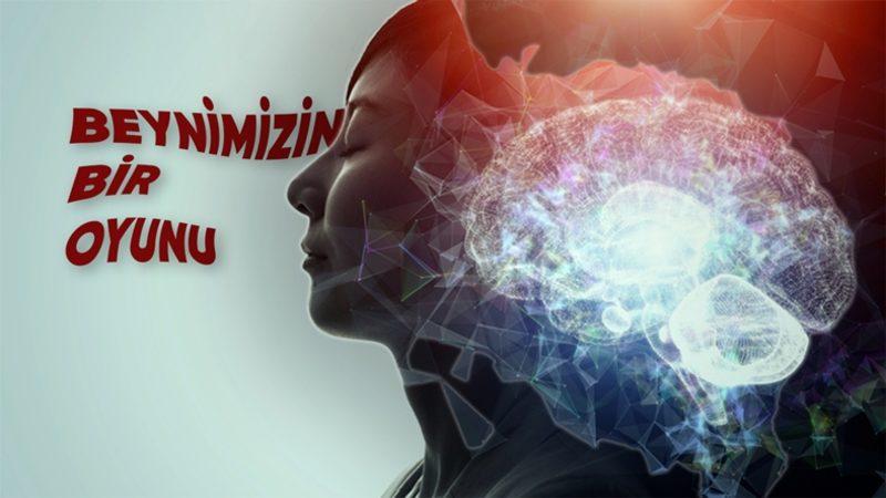 Uykuya Dalma Anımızı Neden Hiçbir Zaman Tam Olarak Hatırlayamayız?