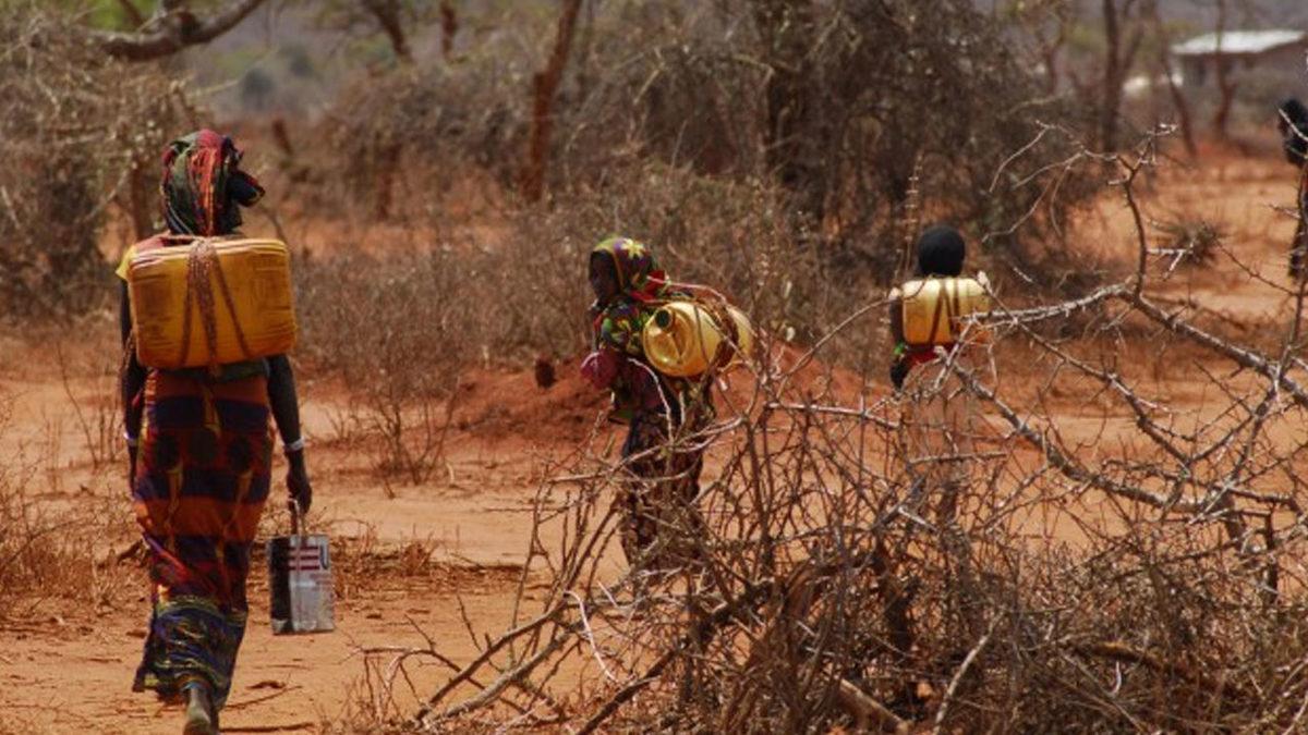 Yoksulluğun Aynı Zamanda Dünyayı da Yok Ettiğini Gösteren Araştırma