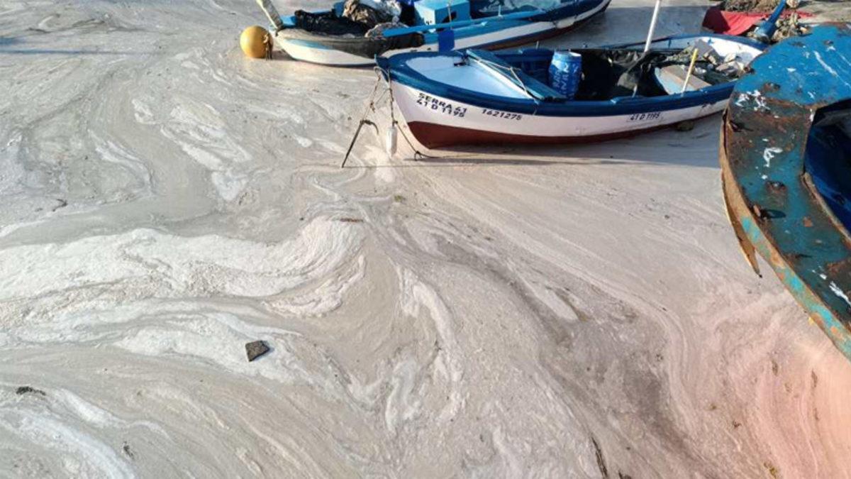 Marmara’yı Deniz Salyasından Arındıracak 3 Senelik Eylem Planı Duyuruldu