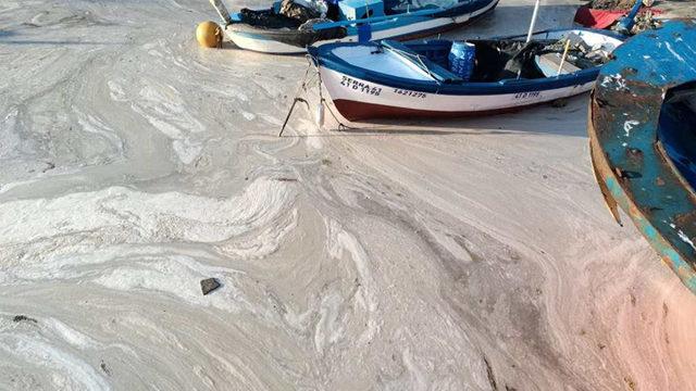 Marmara’yı Deniz Salyasından Arındıracak 3 Senelik Eylem Planı Duyuruldu