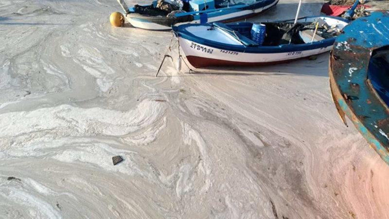 Marmara’yı Deniz Salyasından Arındıracak 3 Senelik Eylem Planı Duyuruldu