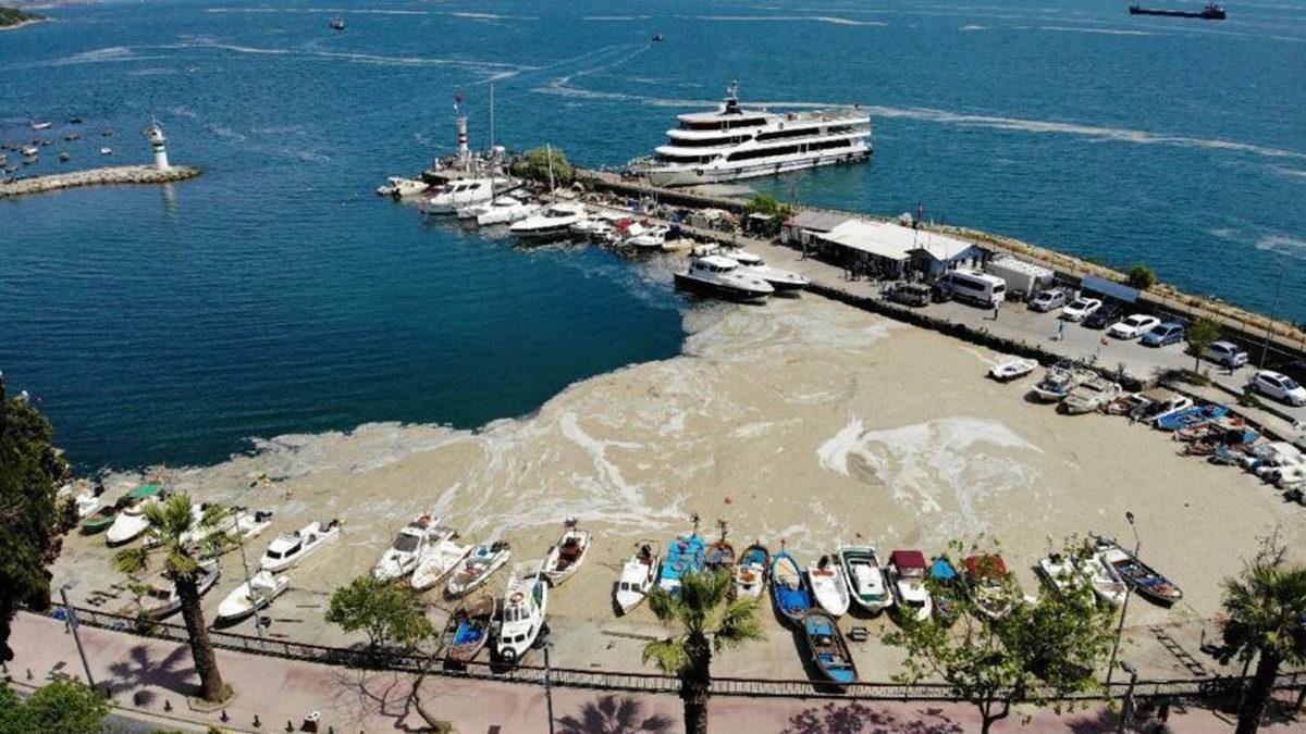 Marmara’yı Deniz Salyasından Arındıracak 3 Senelik Eylem Planı Duyuruldu