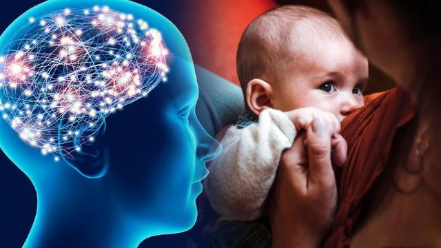 Fazladan Anne Sütü Tüketen Prematüre Bebeklerin Daha Yüksek IQ’ya Sahip Olduğu Ortaya Çıktı!