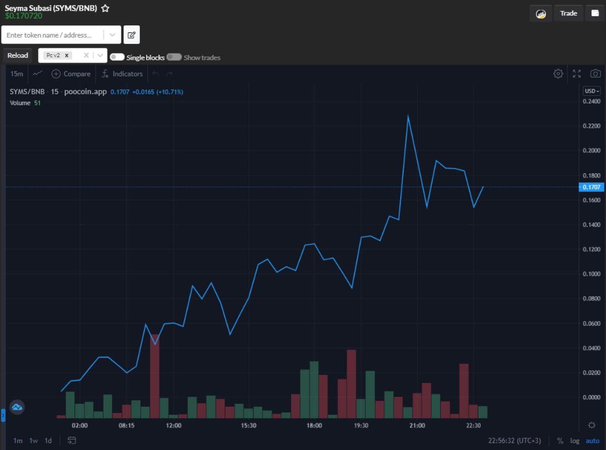 Şeyma Subaşı Adını Taşıyan Yeni Bir ’Meme’ Kripto Para Ortaya Çıktı