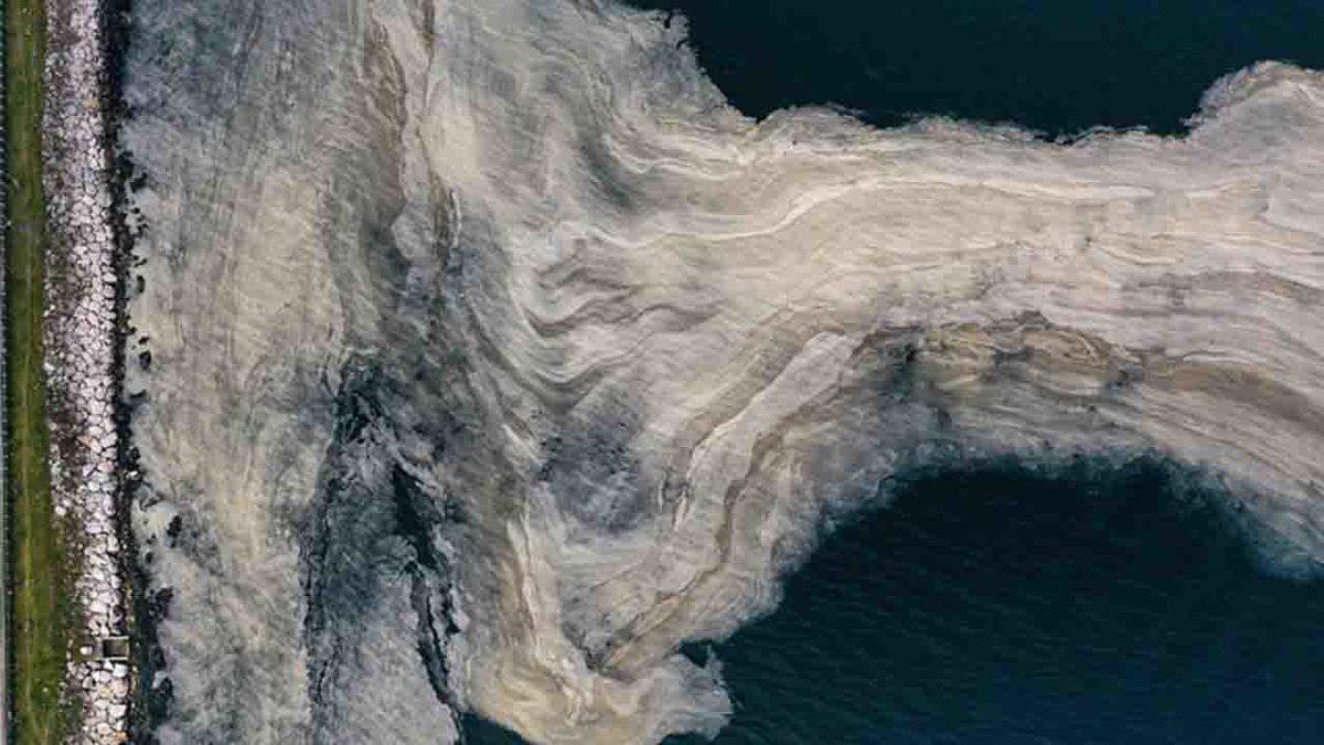 Bilim İnsanları, Marmara Denizi’ndeki Müsilaj Sorununu Ortadan Kaldıracak Bir Çözüm Üretti