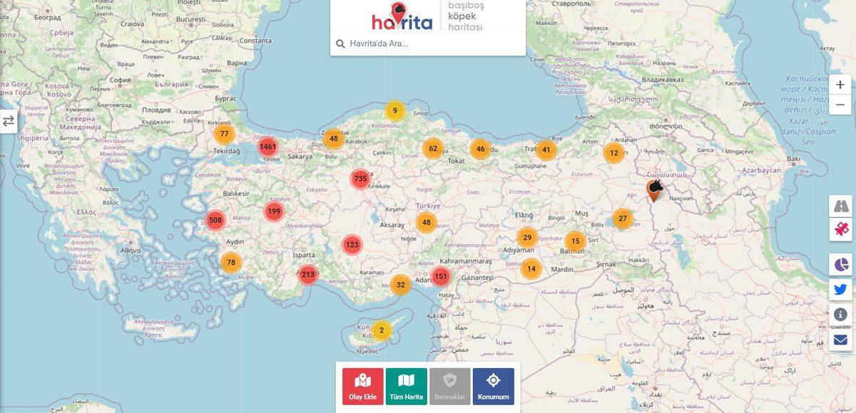 Sokak Köpeklerinin Konumunu Gösteren ’Havrita’ Uygulaması Tartışmalara Sebep Oldu: Ünlülerden de Tepki Yağdı