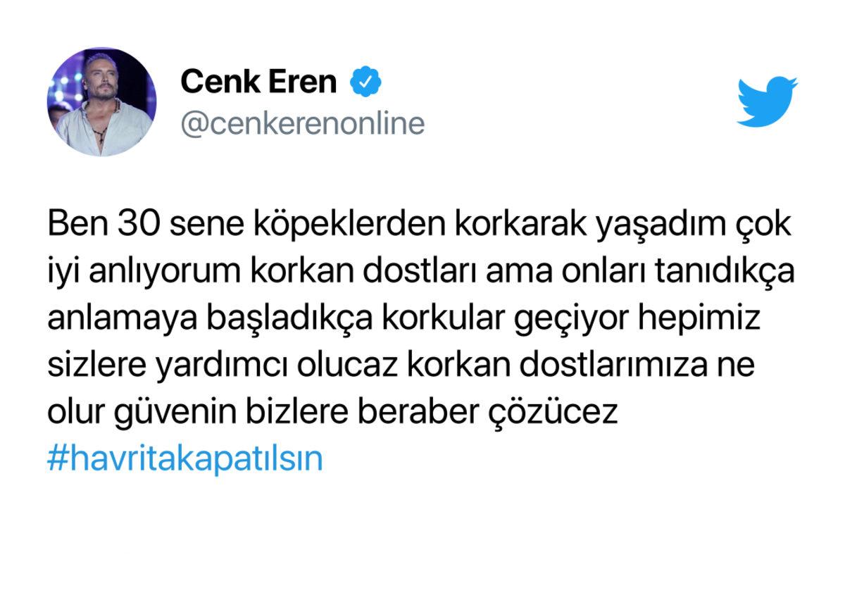 Sokak Köpeklerinin Konumunu Gösteren ’Havrita’ Uygulaması Tartışmalara Sebep Oldu: Ünlülerden de Tepki Yağdı