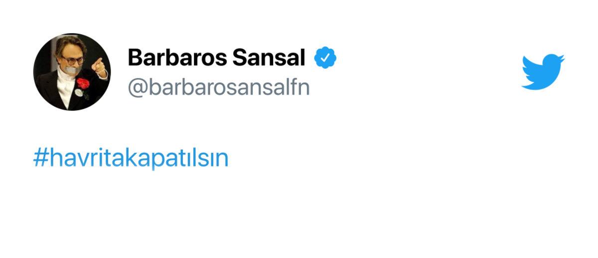 Sokak Köpeklerinin Konumunu Gösteren ’Havrita’ Uygulaması Tartışmalara Sebep Oldu: Ünlülerden de Tepki Yağdı