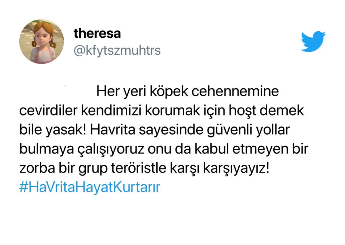 Sokak Köpeklerinin Konumunu Gösteren ’Havrita’ Uygulaması Tartışmalara Sebep Oldu: Ünlülerden de Tepki Yağdı