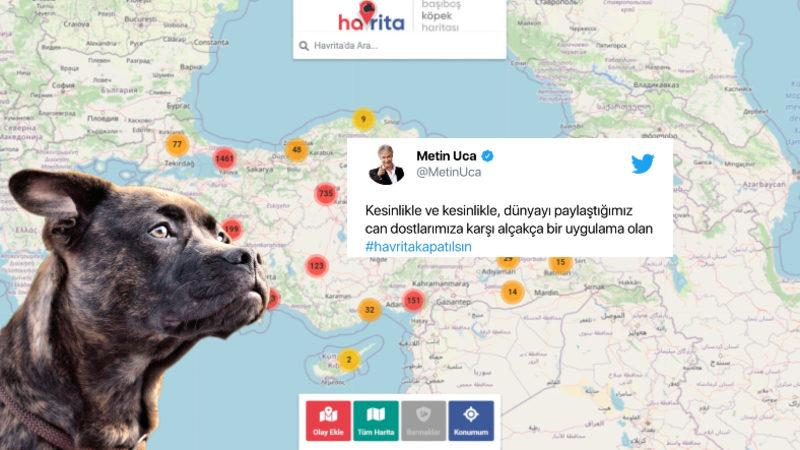 Sokak Köpeklerinin Konumunu Gösteren ’Havrita’ Uygulaması Tartışmalara Sebep Oldu: Ünlülerden de Tepki Yağdı
