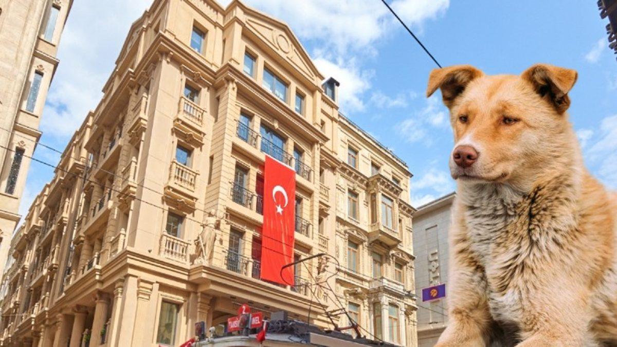 Günlerdir Tartışılan Havrita Uygulamasına İstanbul Barosu’ndan Suç Duyurusu (Havrita’dan İlk Açıklama Geldi)