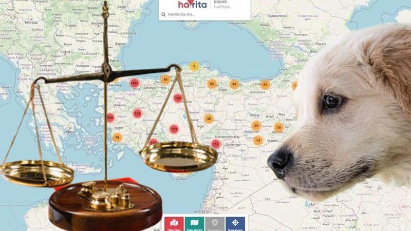 Günlerdir Tartışılan Havrita Uygulamasına İstanbul Barosu’ndan Suç Duyurusu (Havrita’dan İlk Açıklama Geldi)