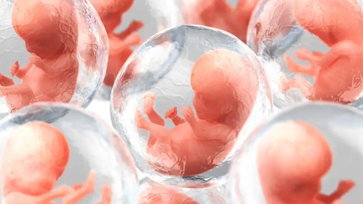 Yapay İnsan Embriyosu Yapmak İçin Çalışmalara Başlandı: Peki Ne Amaçla Kullanılacak?