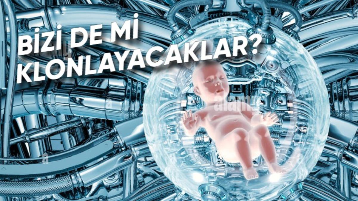 Yapay İnsan Embriyosu Yapmak İçin Çalışmalara Başlandı: Peki Ne Amaçla Kullanılacak?