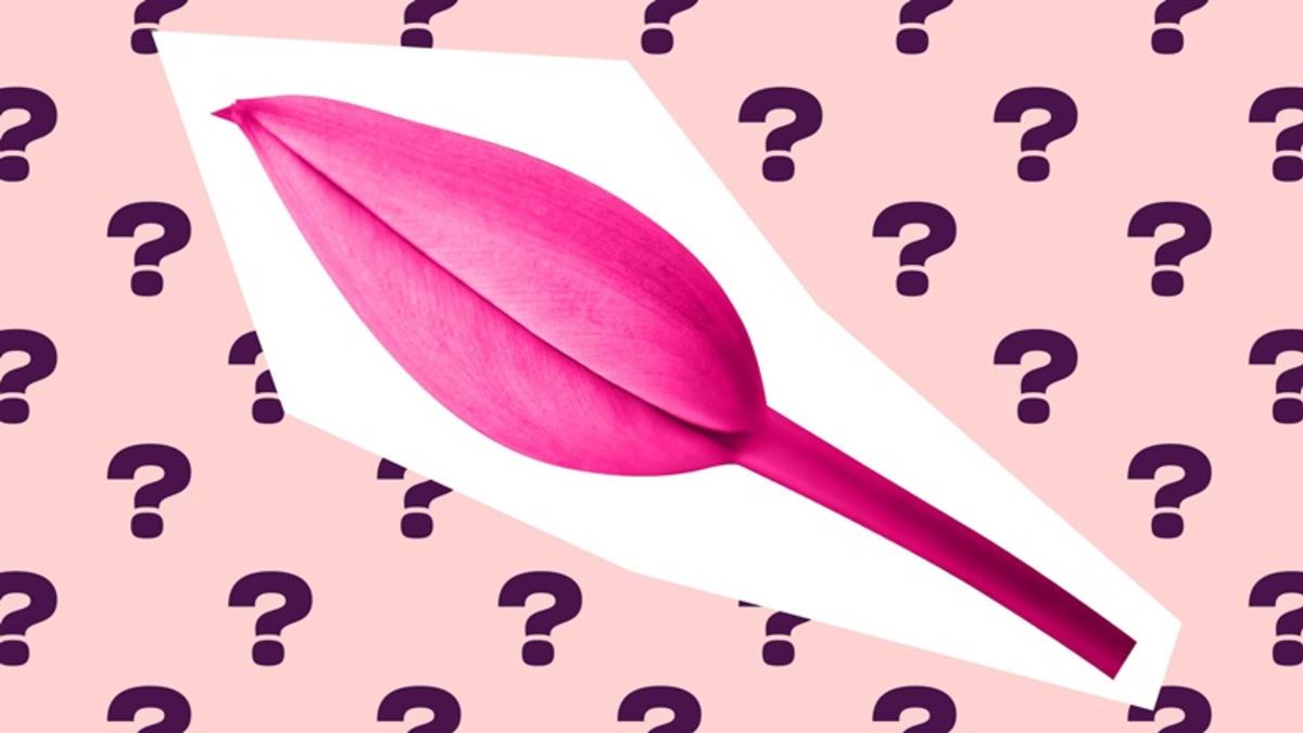 Vajinismus ile İlgili İnternette Okuduğunuz Çoğu Bilgi Yanlış! Doğrusunu Öğrenmeniz İçin Konuyu Bir Kadın Hastalıkları Uzmanına Sorduk