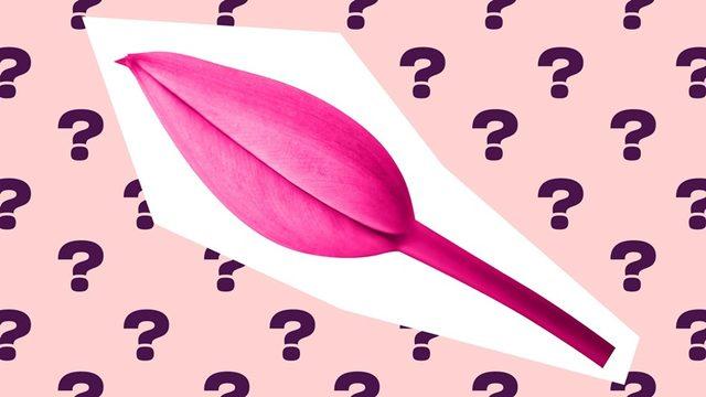 Vajinismus ile İlgili İnternette Okuduğunuz Çoğu Bilgi Yanlış! Doğrusunu Öğrenmeniz İçin Konuyu Bir Kadın Hastalıkları Uzmanına Sorduk