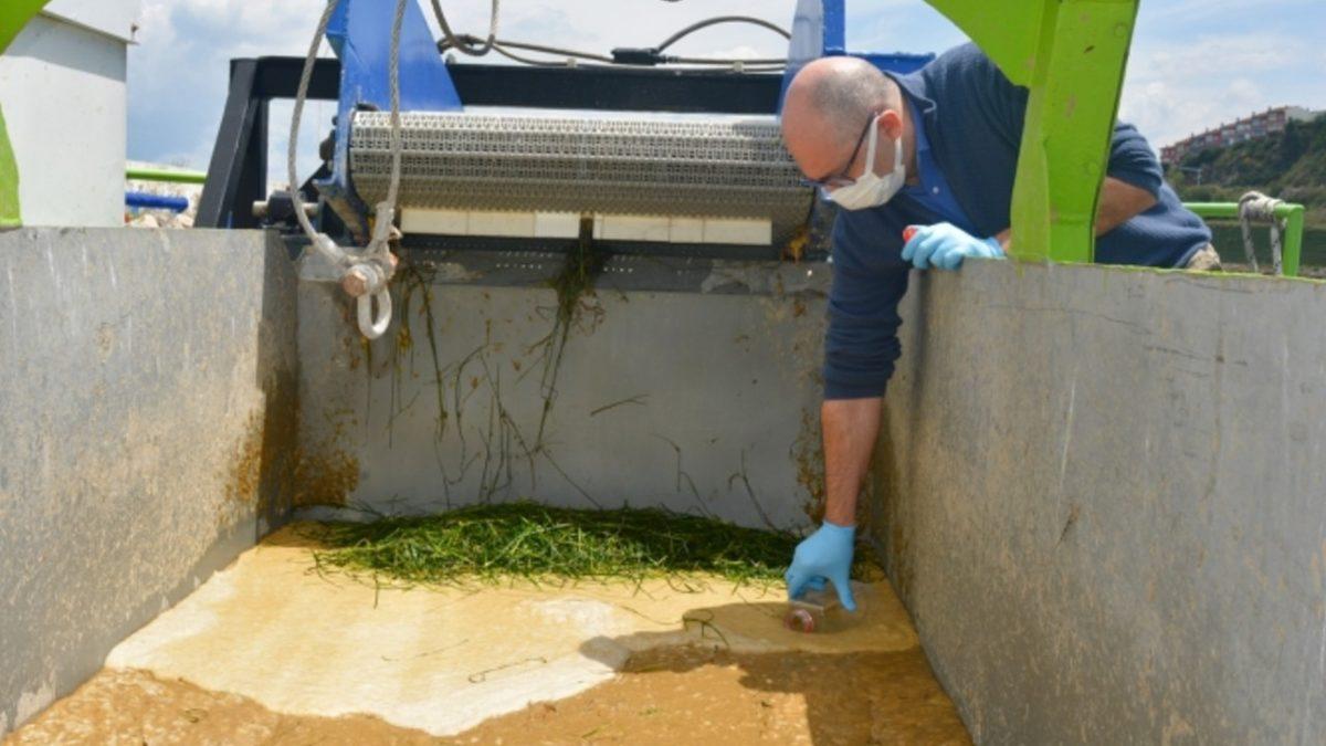 Türk Bilim İnsanları: Marmara Denizi’ndeki Müsilajı Ekonomiye Kazandırabiliriz