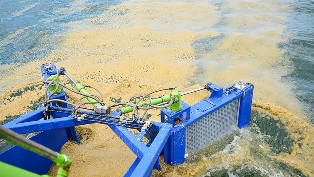 Türk Bilim İnsanları: Marmara Denizi’ndeki Müsilajı Ekonomiye Kazandırabiliriz