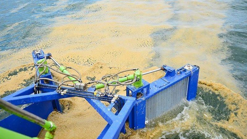 Türk Bilim İnsanları: Marmara Denizi’ndeki Müsilajı Ekonomiye Kazandırabiliriz