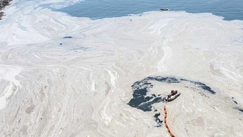 İstanbul Üniversitesi, Müsilaj İncelemesinin İlk Sonuçlarını Açıkladı: Farklı Bir Tür de Keşfedildi