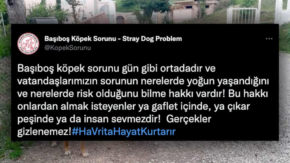 Saman Alevi Gibi Yayılan ‘Havrita’ Tartışmaları Hakkında Tüm Gerçekler: Kime Güveneceğimizi Şaşırdık!