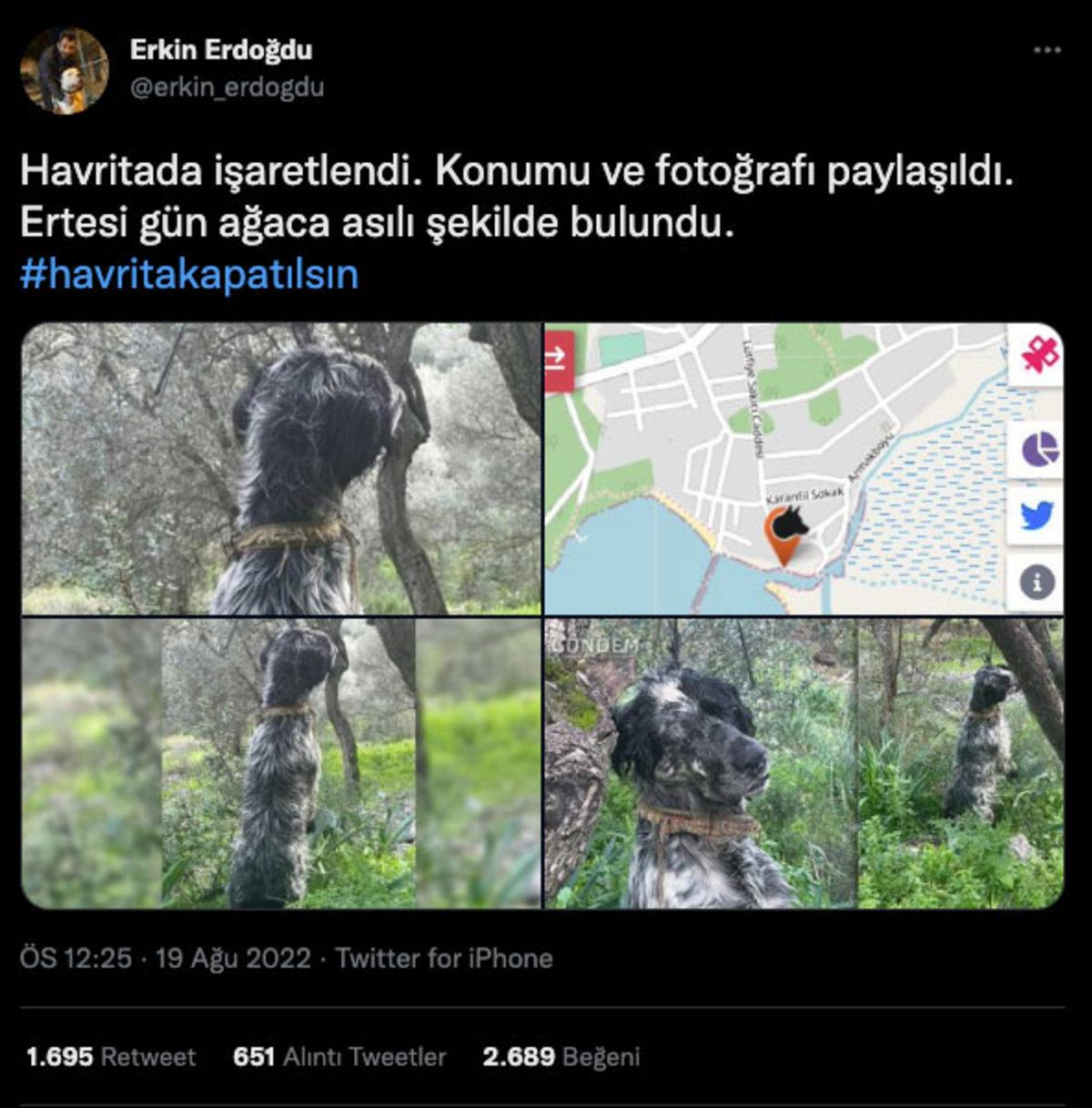 Saman Alevi Gibi Yayılan ‘Havrita’ Tartışmaları Hakkında Tüm Gerçekler: Kime Güveneceğimizi Şaşırdık!