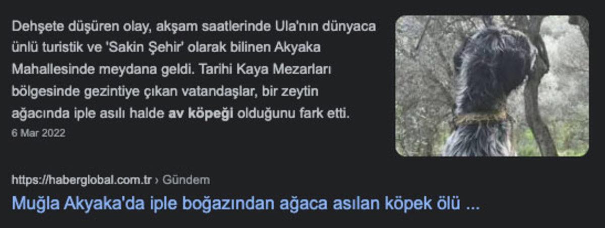 Saman Alevi Gibi Yayılan ‘Havrita’ Tartışmaları Hakkında Tüm Gerçekler: Kime Güveneceğimizi Şaşırdık!