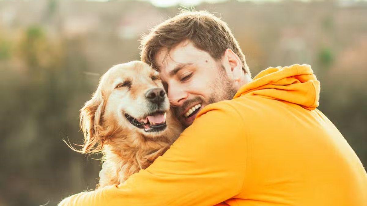 Köpeklerin de İnsanlar Gibi Gözyaşı Dökebileceği Açıklandı: Ama Üzüntüden Değil...