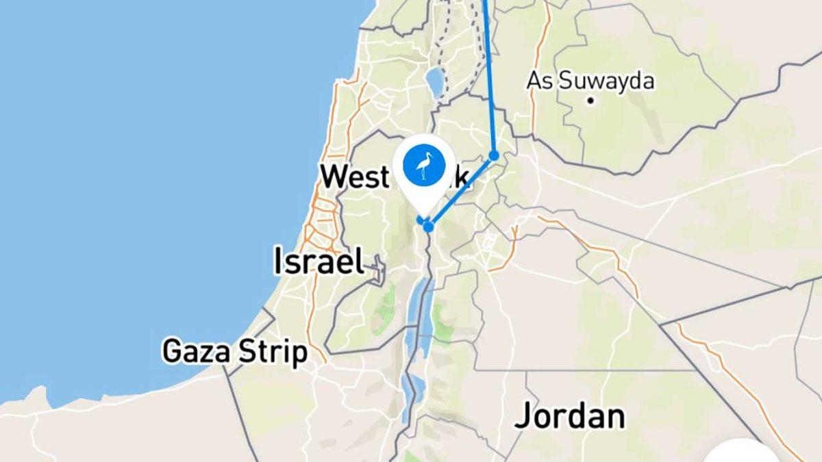 Almanya’dan Yola Çıkıp Adana’da ’Kaybolan’ Leylek Jonas’tan Yeniden Sinyal Alındı (Türkiye’den Çok Uzaklarda...)