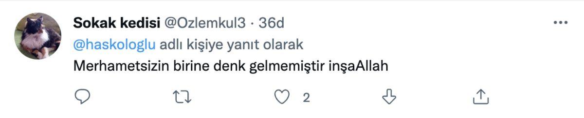 Almanya’dan Yola Çıkıp Adana’da ’Kaybolan’ Leylek Jonas’tan Yeniden Sinyal Alındı (Türkiye’den Çok Uzaklarda...)