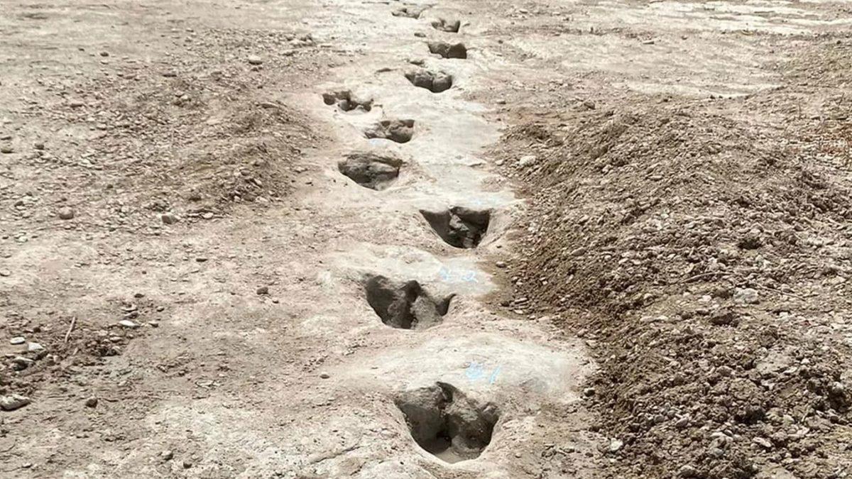 113 Milyon Yıl Önce Yaşamış Bir Dinozorun Ayak İzleri Bulundu: Peki Bu İzler Neden Şimdi Ortaya Çıktı?