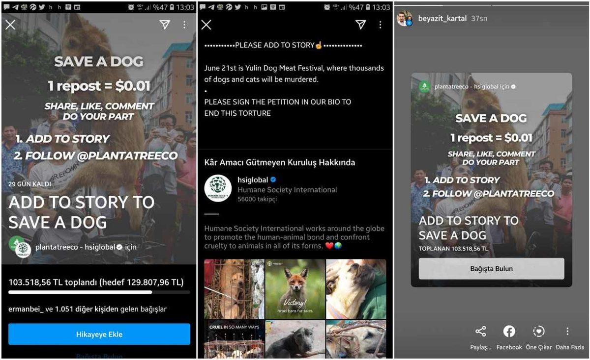 Çin’deki Köpek Yeme Festivaline Karşı Instagram’da Kampanya Başlatıldı