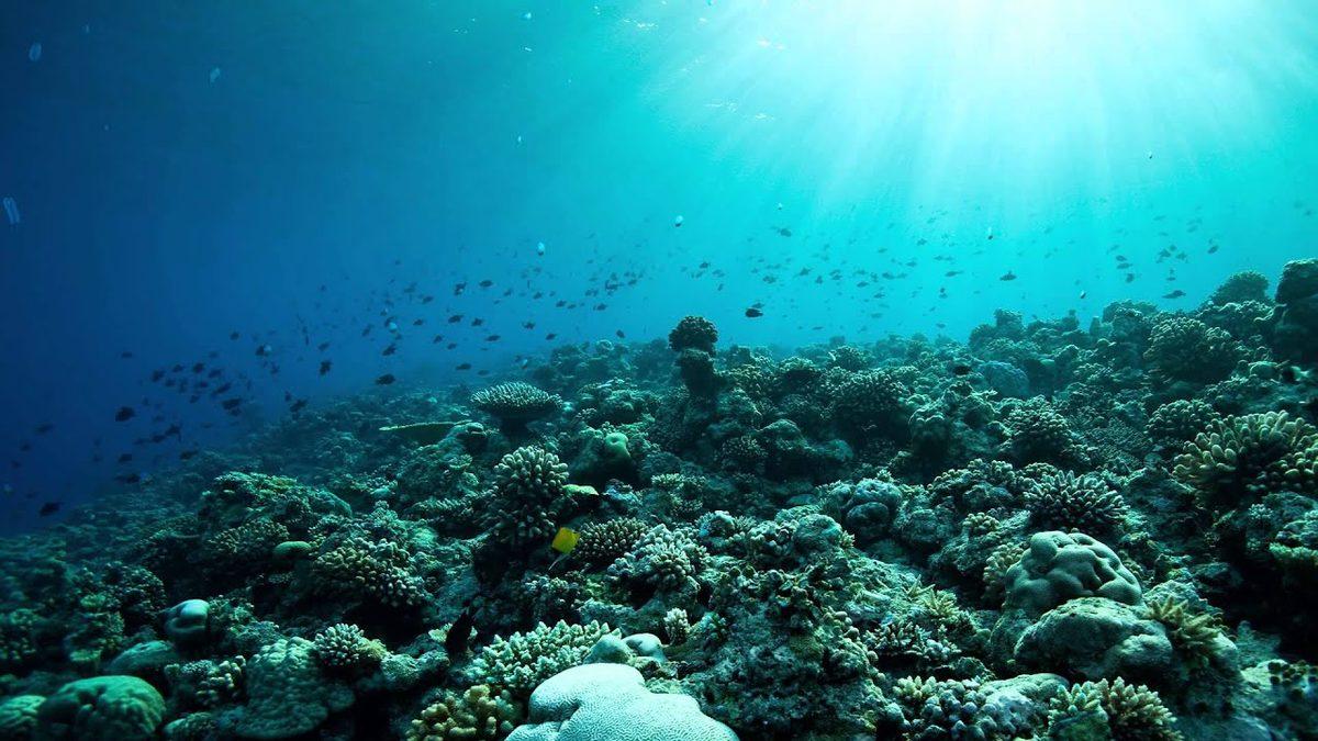 Okyanus ve Deniz Suyu Aslında Neden Tuzludur? Cevabı Yerin Hem Altında Hem de Üstünde Saklı!