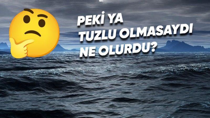 Okyanus ve Deniz Suyu Aslında Neden Tuzludur? Cevabı Yerin Hem Altında Hem de Üstünde Saklı!