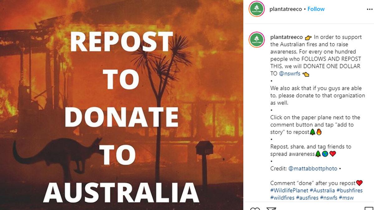 Story’leri Siliyoruz: Çin’deki Köpek Yeme Festivaline Karşı Instagram’da Başlatılan Kampanyanın Sahte Olduğu Anlaşıldı