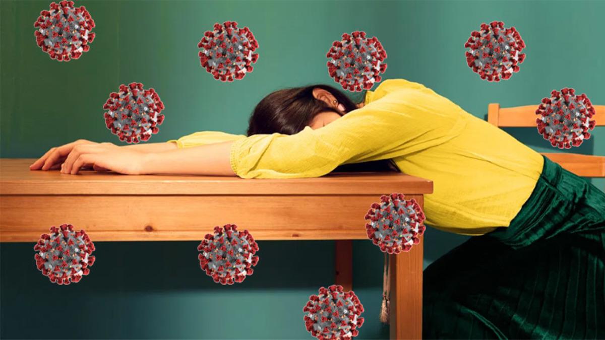 Çinli Bilim İnsanları, Yarasalarda 24 Yeni Koronavirüs Türü Keşfetti