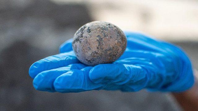 Arkeologlar, Bin Yıldır Bozulmamış Tavuk Yumurtası Buldu: Yumurta ’Yanlışlıkla’ Kırıldı