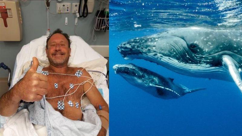 Çizgi Film Değil, Gerçek: Balina Tarafından Yutulan Dalgıç Hayatta Kalmayı Başardı