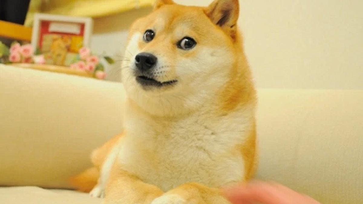 9GAG’in Unutulmaz ‘Meme’i Doge, 4 Milyon Dolara Satılarak NFT Rekoru Kırdı
