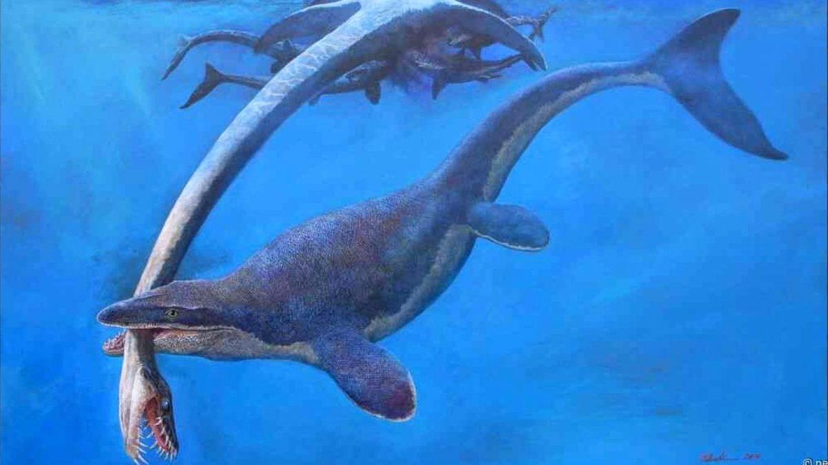 Bir Zamanlar Öğünlerini Dinozor Avlayarak Karşılayan 9 Tehlikeli Hayvan