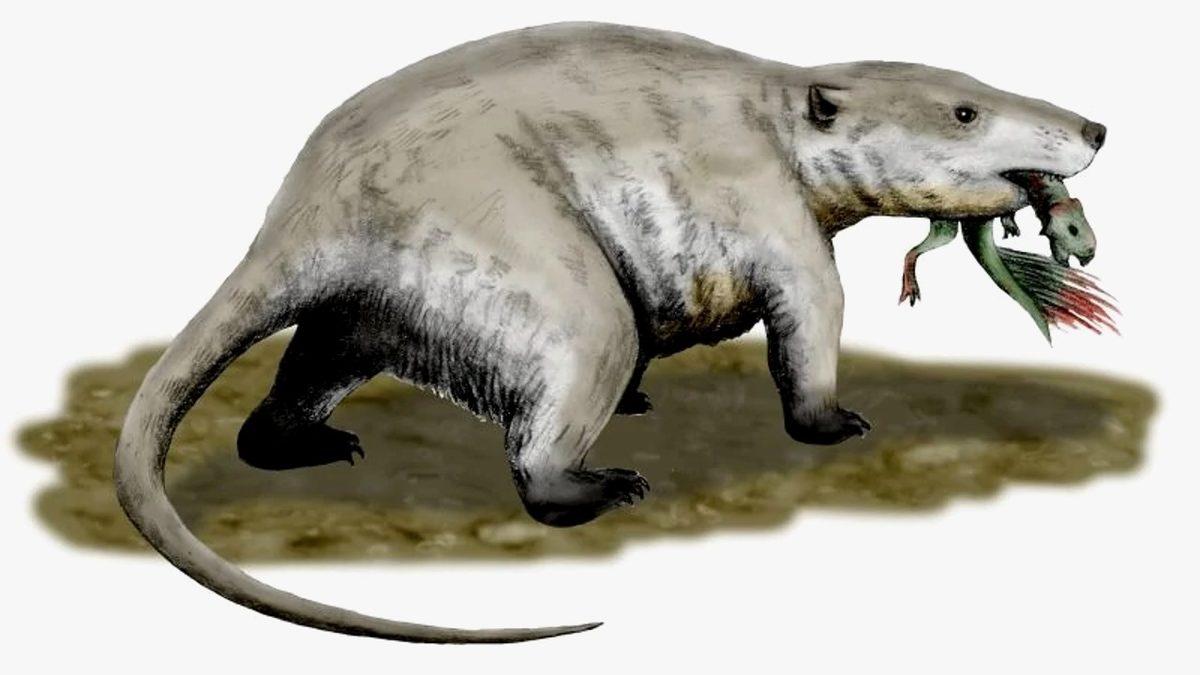 Bir Zamanlar Öğünlerini Dinozor Avlayarak Karşılayan 9 Tehlikeli Hayvan