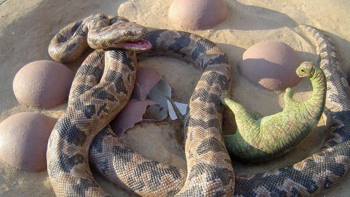 Bir Zamanlar Öğünlerini Dinozor Avlayarak Karşılayan 9 Tehlikeli Hayvan