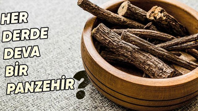 Modern Tıbbın Gelişmediği Dönemde Medeniyetlerin ’Mucize İlaç’ Olarak Kullandığı Doğa Harikası Bitki: Meyan Kökü Nedir, Ne İşe Yarar?