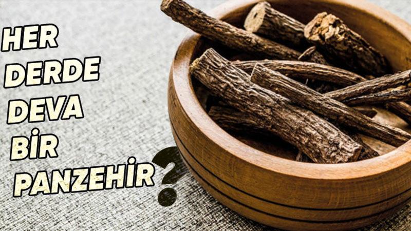 Modern Tıbbın Gelişmediği Dönemde Medeniyetlerin ’Mucize İlaç’ Olarak Kullandığı Doğa Harikası Bitki: Meyan Kökü Nedir, Ne İşe Yarar?