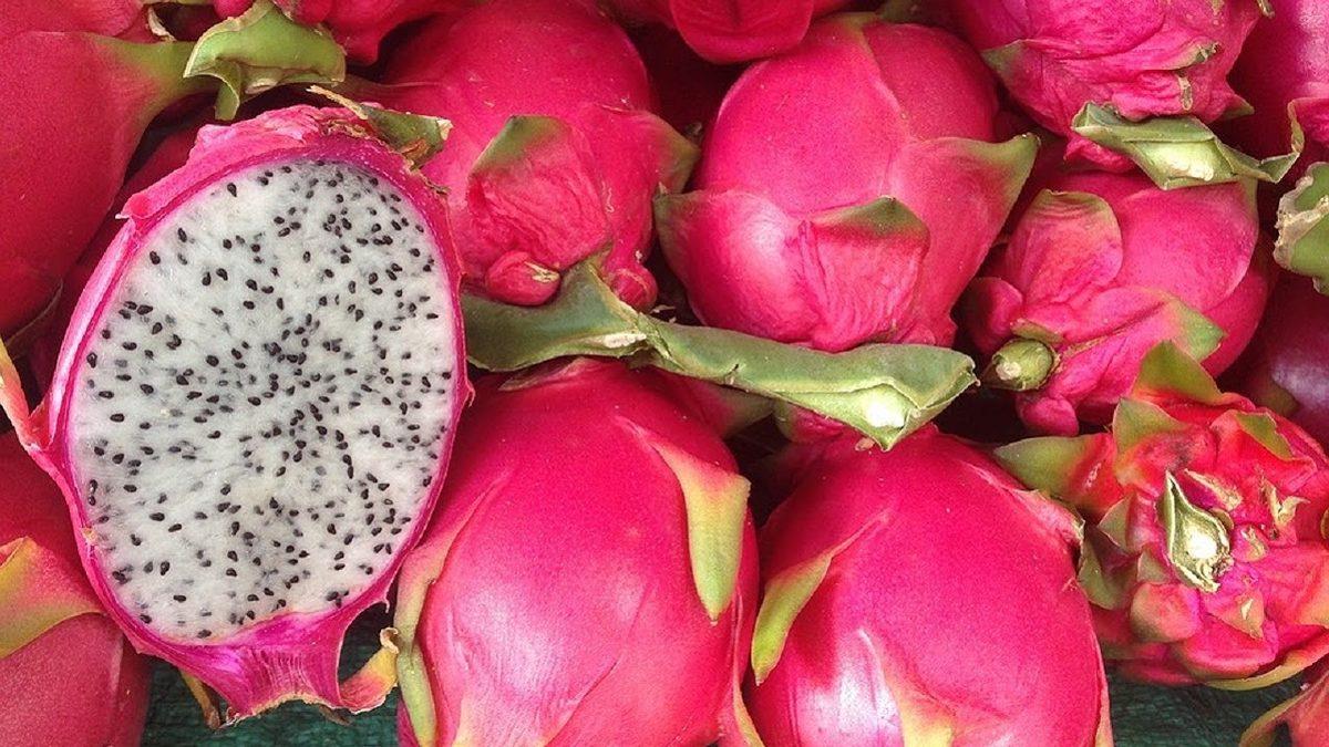 İsmini Çok Fazla Duymamıza Rağmen Kendisini Pek Tanımadığımız İlginç Tropikal Meyve: Ejder Meyvesi Nedir, Faydaları Nelerdir?