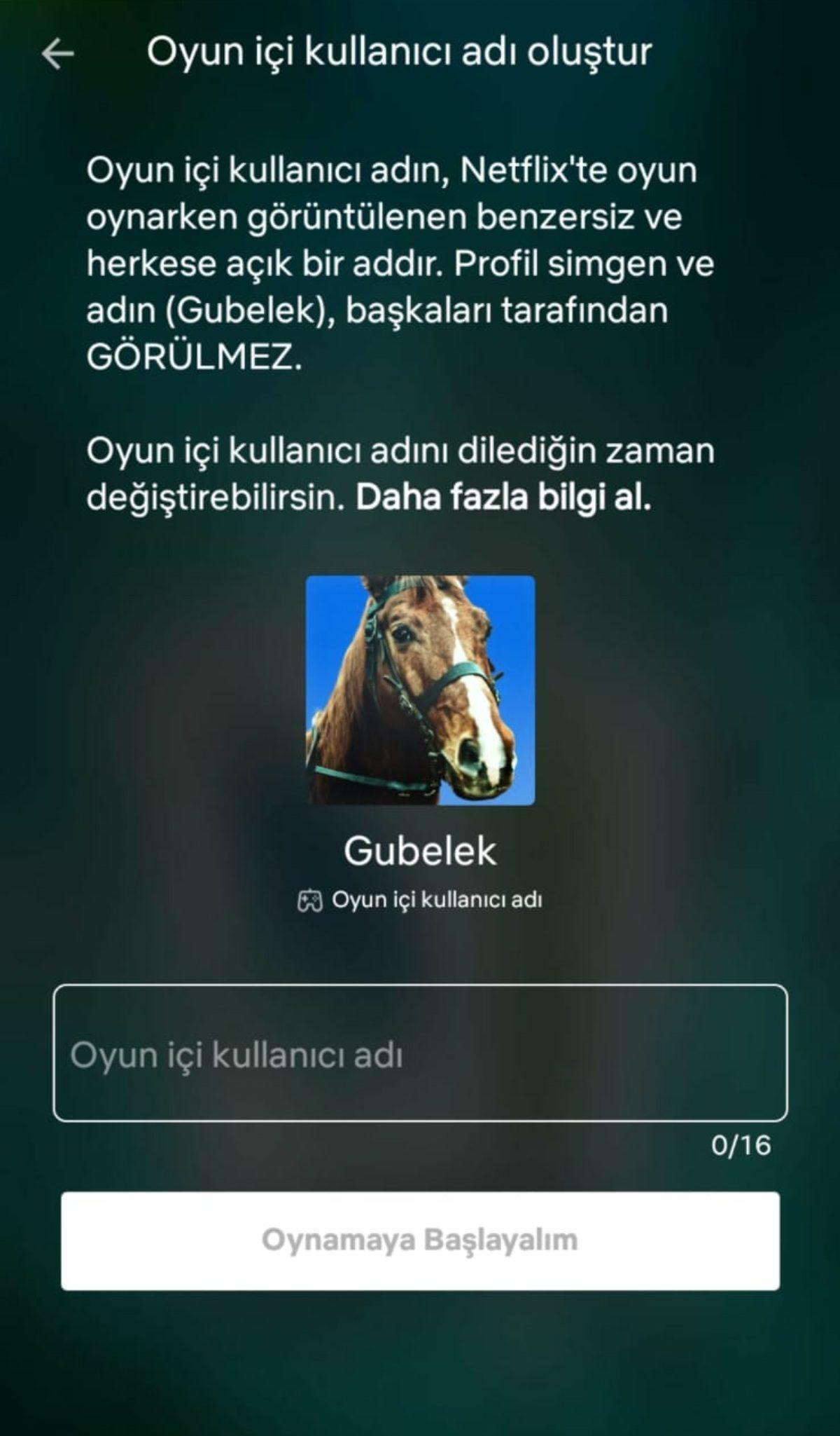 Netflix’e Oyun İçi Kullanıcı Adları Geldi: Netflix Games Daha da Büyüyebilir