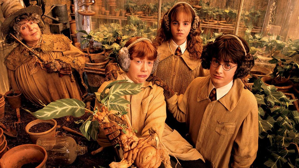 Harry Potter Serisi Hakkında En Sıkı Hayranlarının Bile Muhtemelen Daha Önce Duymadığı 11 Enteresan Bilgi