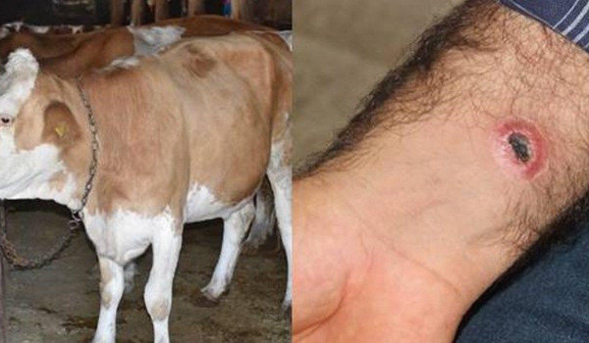 Bilim İnsanlarının Paylaştığı, Kimsenin Bilmediği Bazı Korkunç Bilimsel Gerçekler